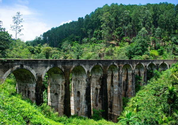 infraestrutura verde e sustentabilidade